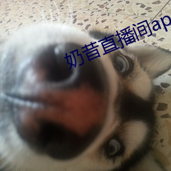 奶昔直播间app