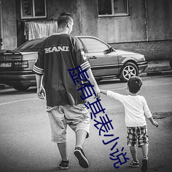虛有其表小說