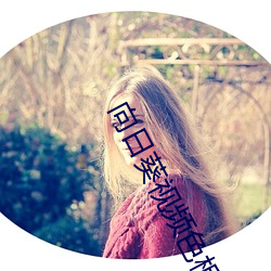 鸿运国际·(中国)会员登录入口