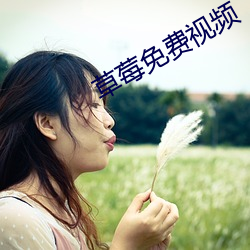 vwinӮ(й) - ٷվ