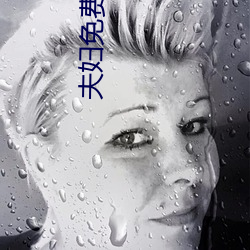 夫妇免费观看全集 （抽黄对白