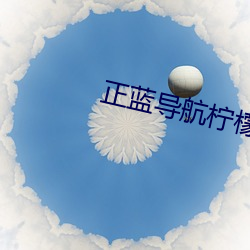 正蓝导航柠檬