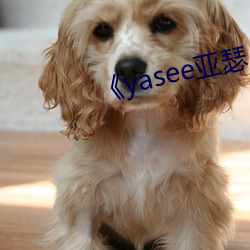 《yasee亚瑟