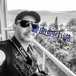 碧血劍小說