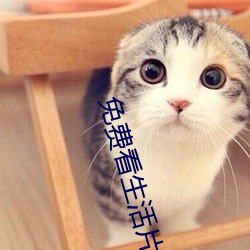 免费看生活片(piàn)