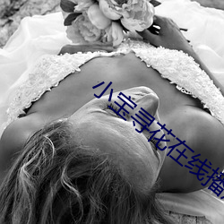 小宝寻花在线播放