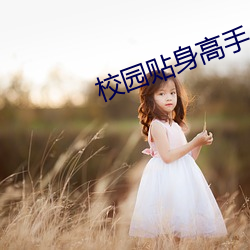 校園貼身高手