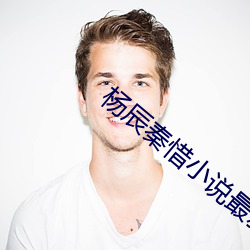 杨辰秦惜小说最新章