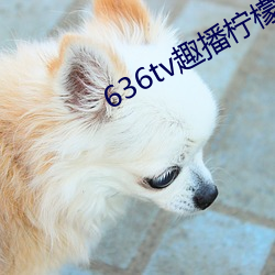 636tv趣播柠檬下载