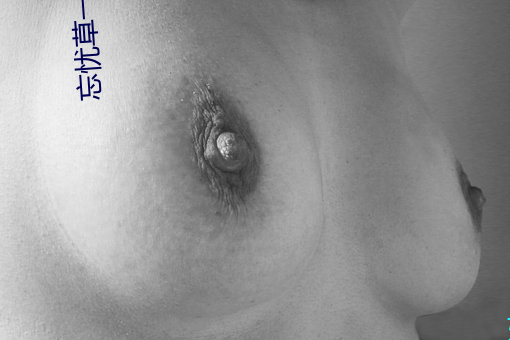 忘憂草一區一區三