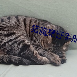 猎魔烹饪手册