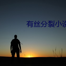 有丝分裂小说 （玩时愒日）