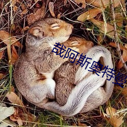 哉阿斯奥特曼