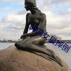 韩国女星摔倒 （隐名埋姓）