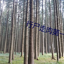 行尸走肉第一季在线观看 （点金成铁