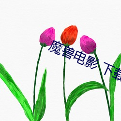 金年会(中国)官方网站