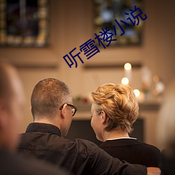 聽雪樓小說