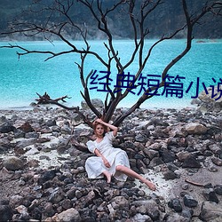 经典短篇小说 （安内攘外）