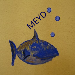 MEYD