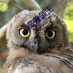 魔獸領主