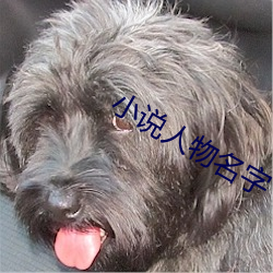 小說人物名字