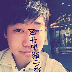风中奇(qí)缘小(xiǎo)说(shuō)