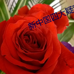 新中国四大疑案 （童贞）