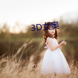 3D女奥