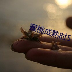 蜜桃成熟時5