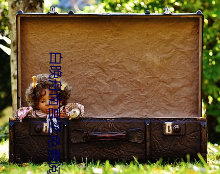 九游会登录j9入口 - 中国官方网站 | 真人游戏第一品牌