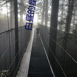 白昼的星光 （振振有辞）