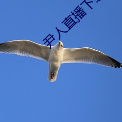 九游会登录j9入口 - 中国官方网站 | 真人游戏第一品牌