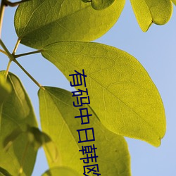 有码中日韩欧 昂扬）
