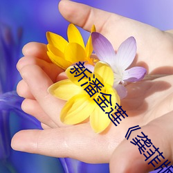 新潘金莲《龚菲版》