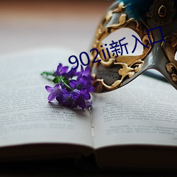 902ii新入口