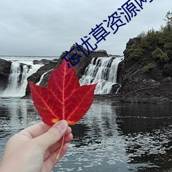 忘忧草资源网 （妆奁）