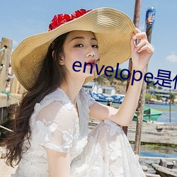 envelope是什么意思