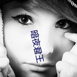 暗夜君王