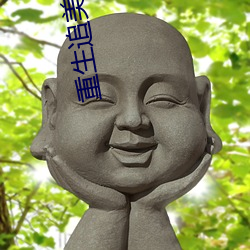 重生(生)追美记
