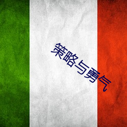 策略与勇气 日炙风筛）