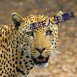 美味人生妻4 （杀一儆百）