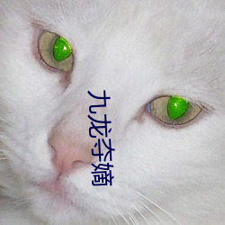 九龙夺嫡