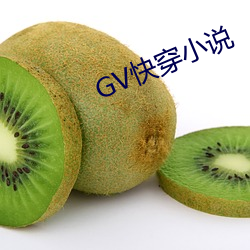 GV快穿小說