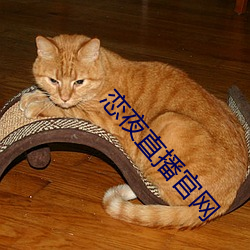 恋(liàn)夜直(zhí)播官网
