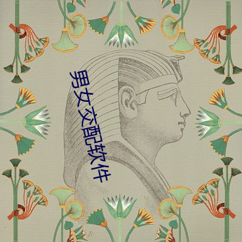 男女交(jiāo)配软(ruǎn)件