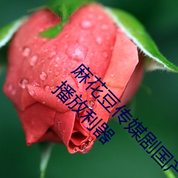 麻(麻)花豆(豆)传媒剧(劇)国产mv在线:一(一)款占(占)用体积(積)超小的播放(放)利(利)器