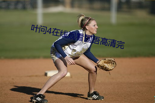 叶问(問)4在线(線)观看(看)国(國)语高(高)清(清)完