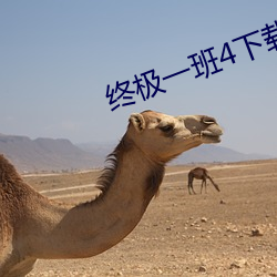 终极一(一)班4下(下)载(載)