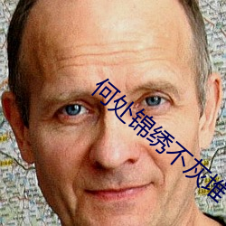 何(hé)处锦绣不灰堆