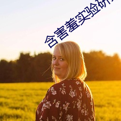 含害羞实验研究所(所)旧(舊)版